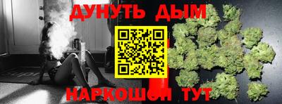 шишки Жуковский