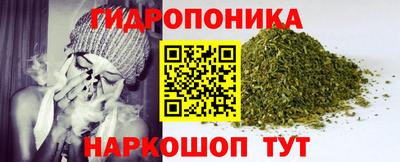 шишки Жуковский