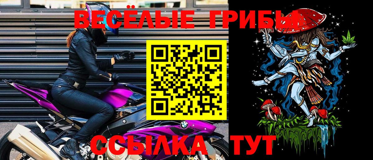 Кунгур  Псилоцибиновые грибы MAGIC MUSHROOMS  Галлюциногенные грибы Magic Shrooms  Вход с VPN 