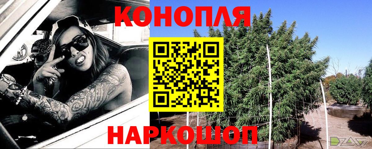 Конопля AK-47  Шишки марихуана планчик  Бошки марихуана план  Марихуана сатива  Кунгур  Вход с VPN 